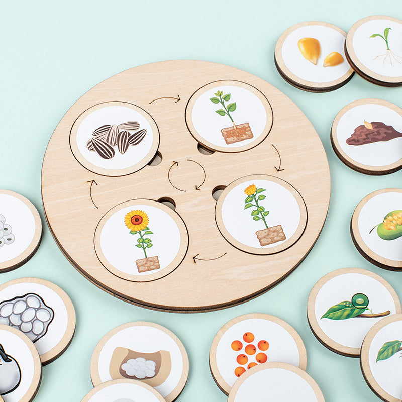 Montessori Life Cycle Learning Board – Wooden Nature Sequencing Set