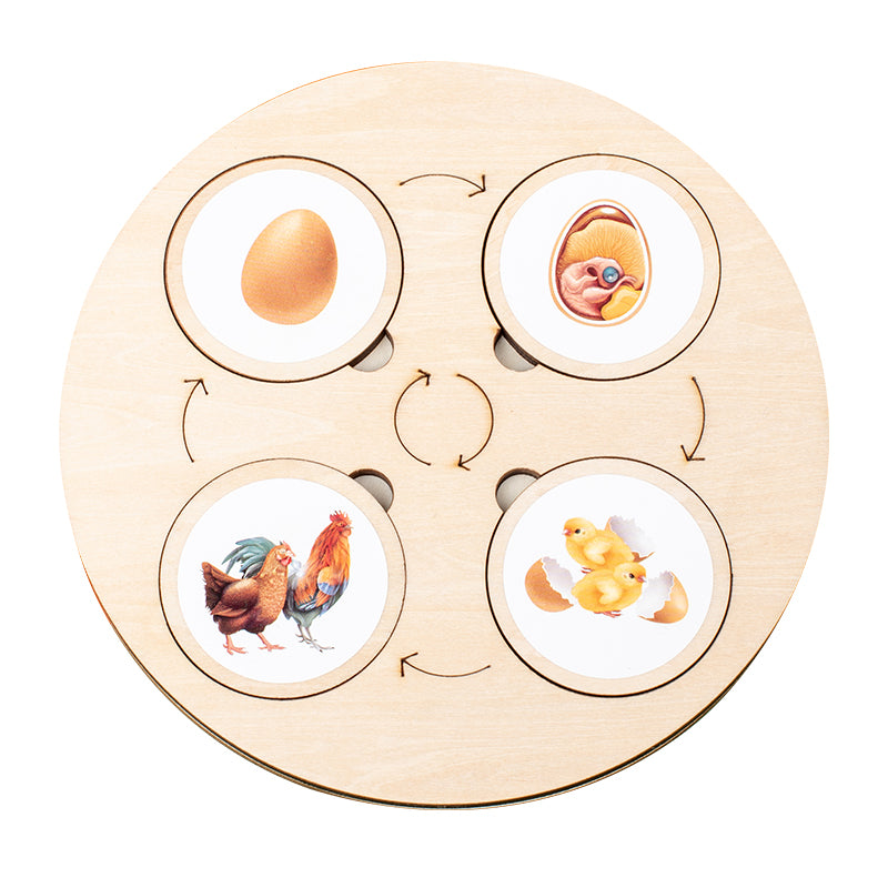 Montessori Life Cycle Learning Board – Wooden Nature Sequencing Set
