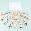 Montessori Life Cycle Learning Board – Wooden Nature Sequencing Set