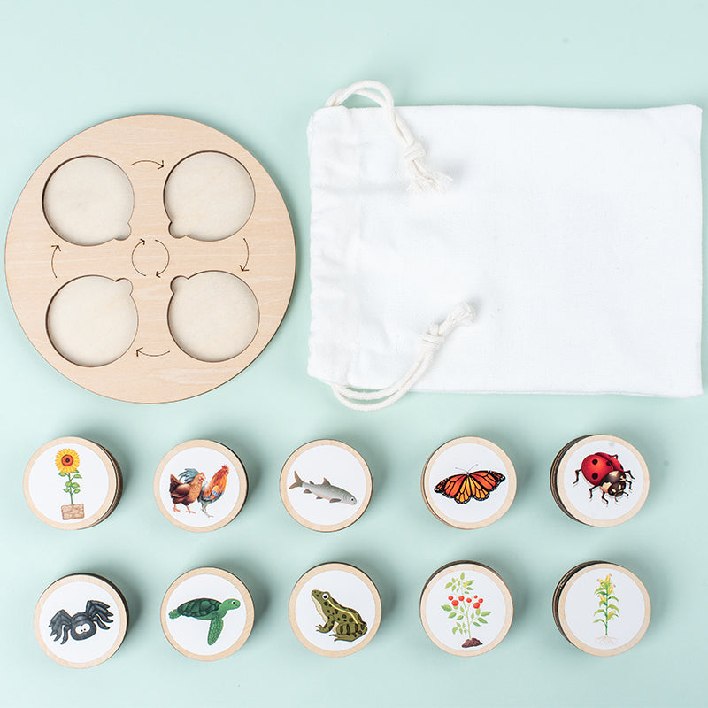 Montessori Life Cycle Learning Board – Wooden Nature Sequencing Set