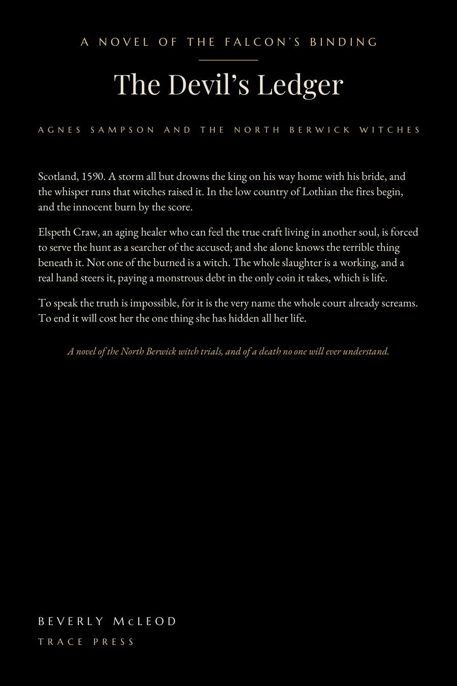 The Devil's Ledger, back cover